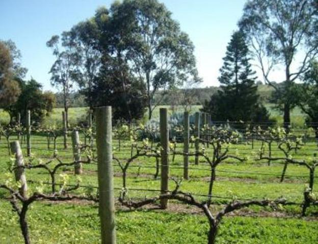 Southern Vales Bed & Breakfast Mclaren Vale Esterno foto