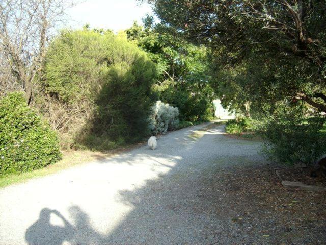 Southern Vales Bed & Breakfast Mclaren Vale Esterno foto