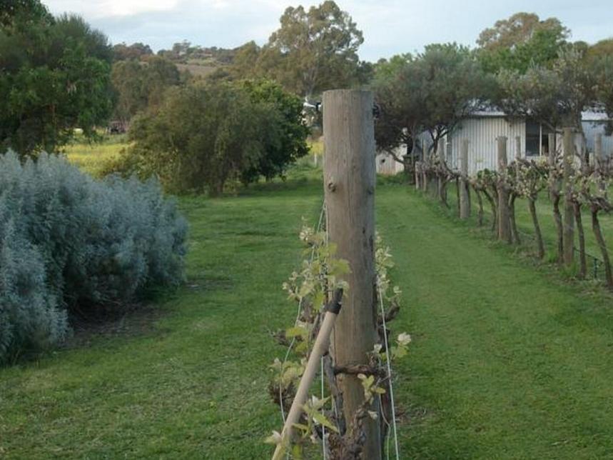 Southern Vales Bed & Breakfast Mclaren Vale Esterno foto