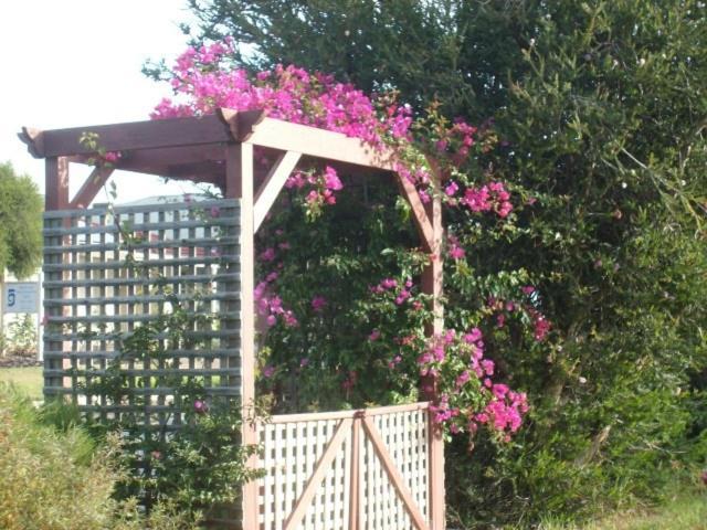 Southern Vales Bed & Breakfast Mclaren Vale Esterno foto
