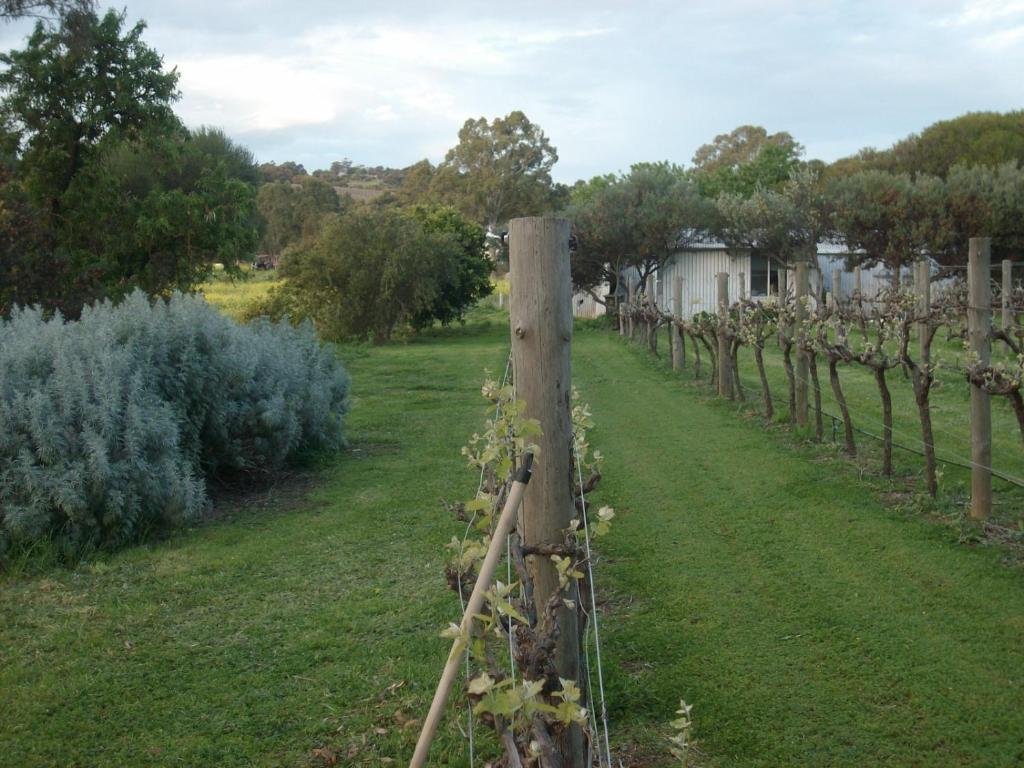 Southern Vales Bed & Breakfast Mclaren Vale Esterno foto
