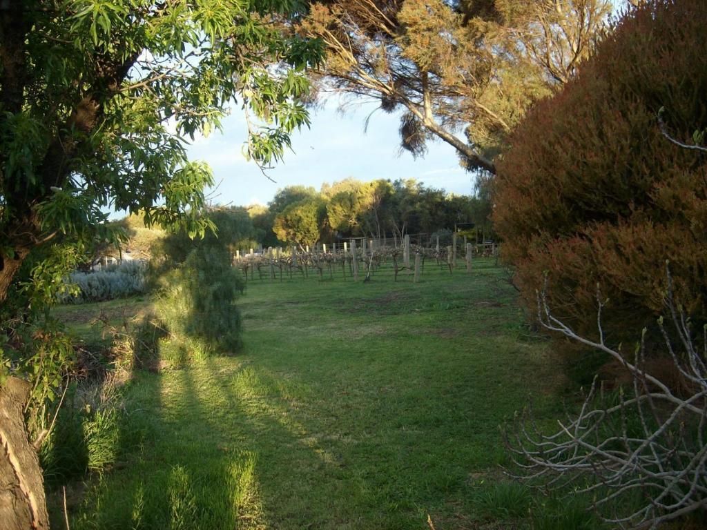 Southern Vales Bed & Breakfast Mclaren Vale Esterno foto