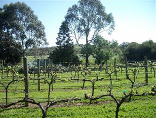 Southern Vales Bed & Breakfast Mclaren Vale Esterno foto
